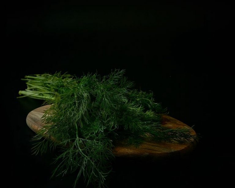 Chopped carrots, zucchini, and fresh herbs on a wooden board