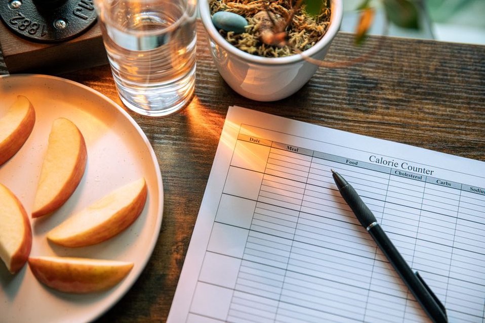 handwritten food and symptom journal