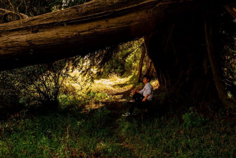 woman sitting cross-legged on moss practicing breathwork for digestive calm