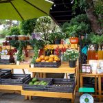 A colorful assortment of fresh vegetables and fruits