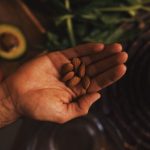 Ingredients for a balanced Paleo diet on a wooden table