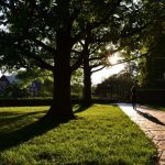Gentle walking can feel comfortable after eating