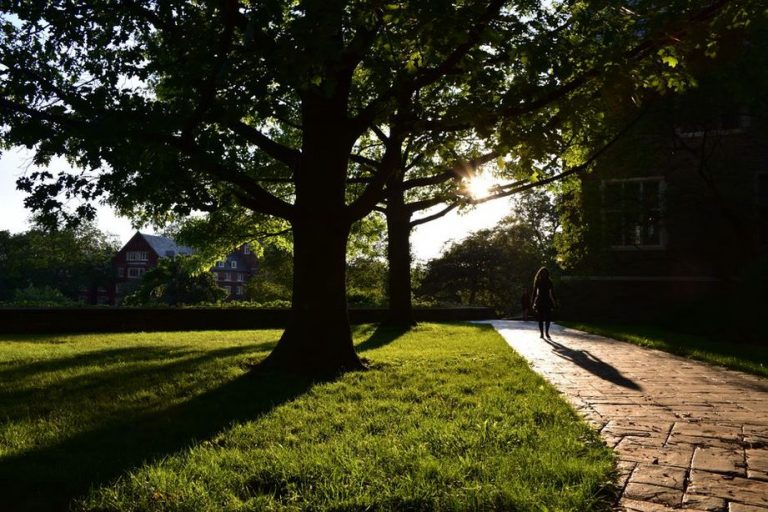 Gentle walking can feel comfortable after eating