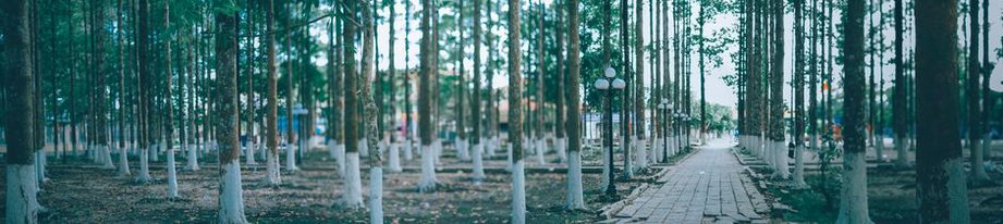 An easy route for an unhurried walk