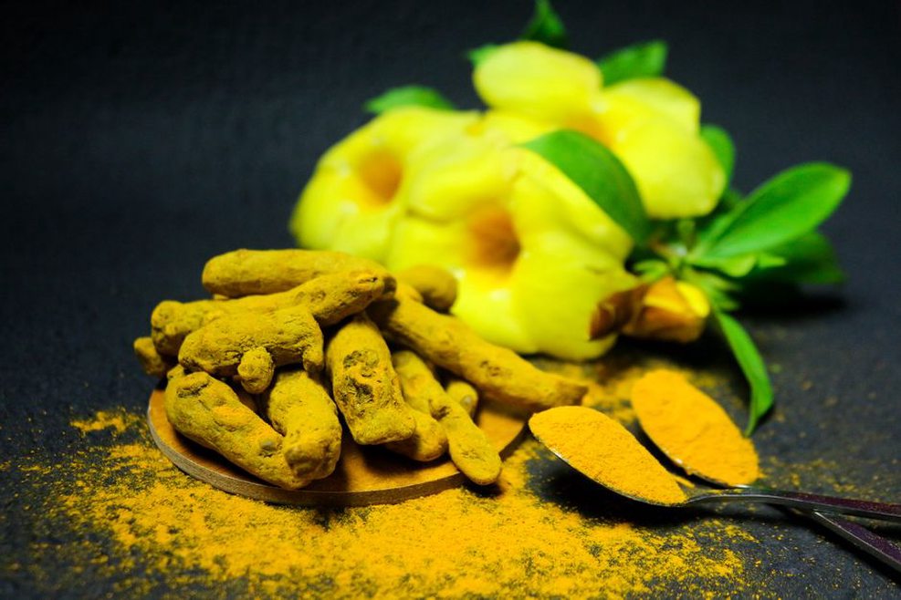 Turmeric powder and roots on a kitchen counter