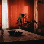 Potted greenery beside a softly lit window