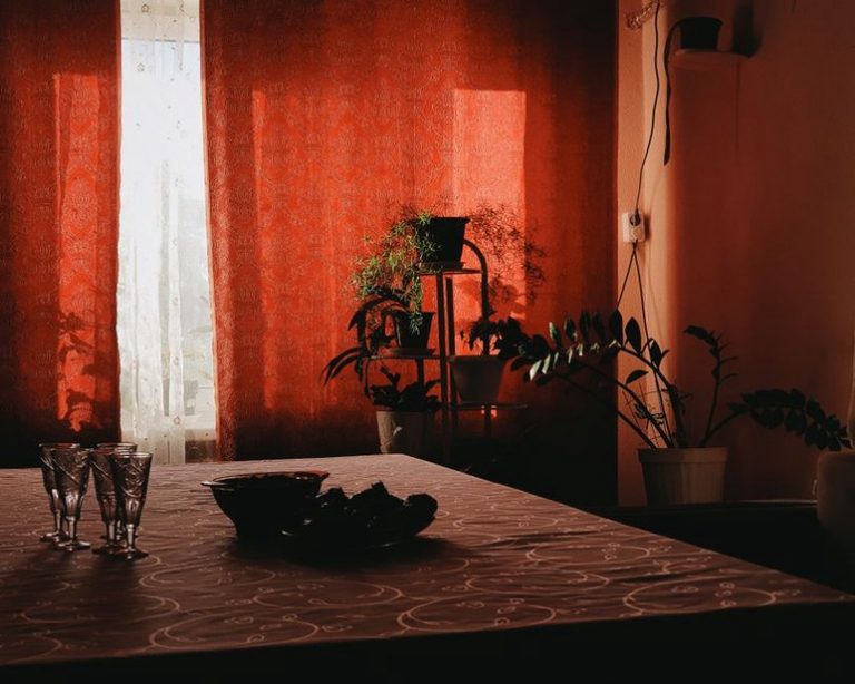 Potted greenery beside a softly lit window
