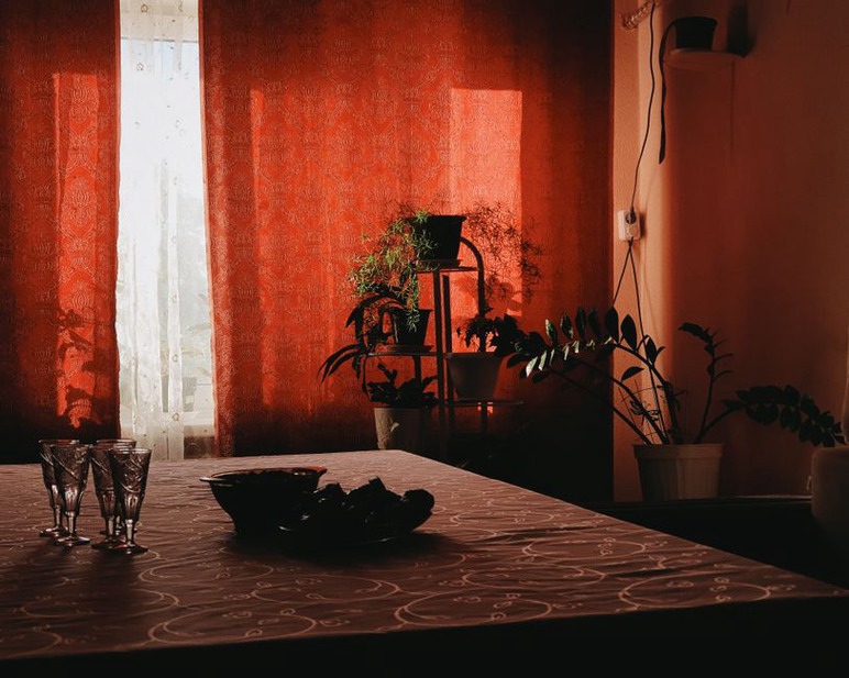 Potted greenery beside a softly lit window